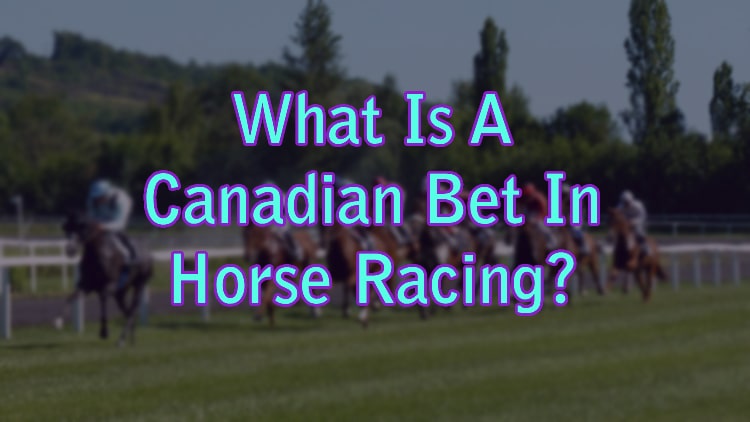 What Is A Canadian Bet In Horse Racing?