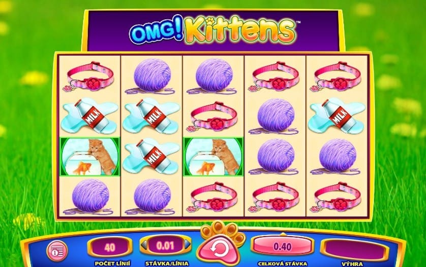 OMG! Kittens Slots Game