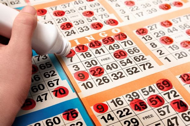 Bingo For Beginners