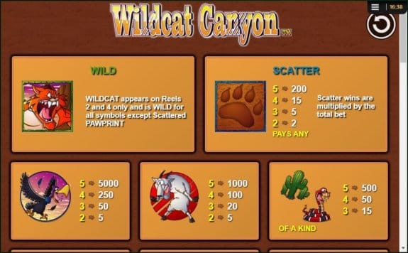 Wildcat Canyon Slots Symbols
