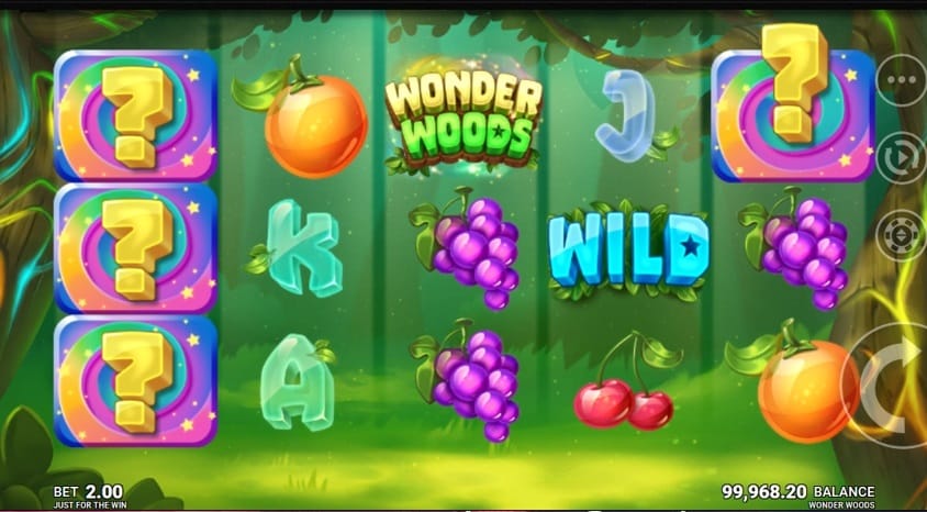 Wonder Woods Slots Game