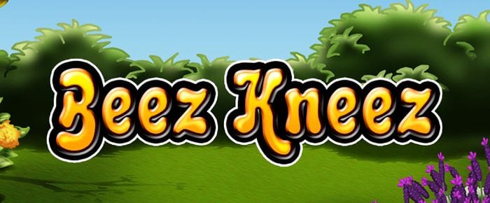 beez kneez slot mega reel