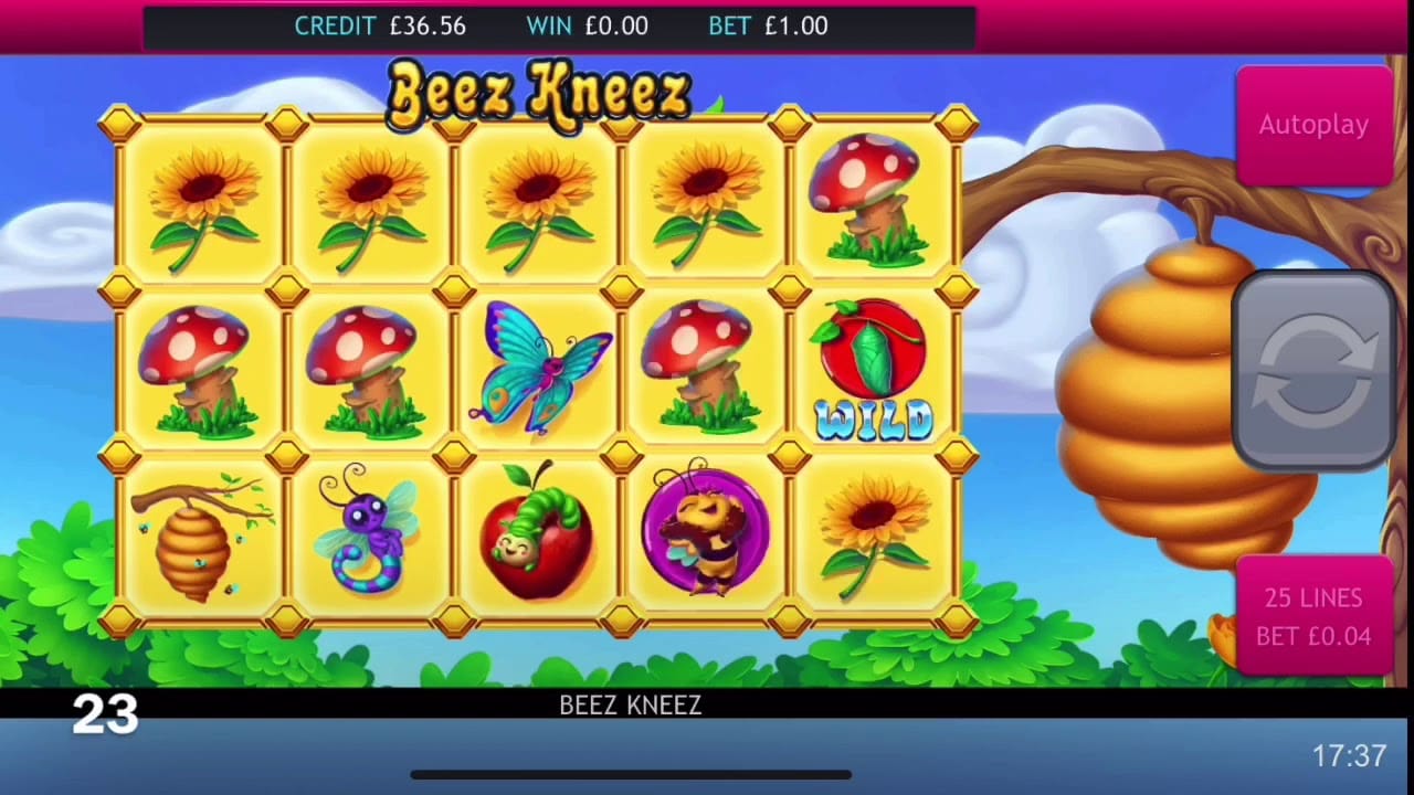 beez kneez online slot machine