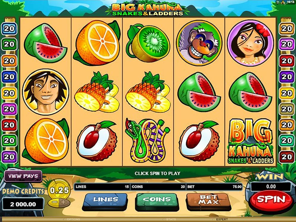 big kahuna snakes and ladders slot game