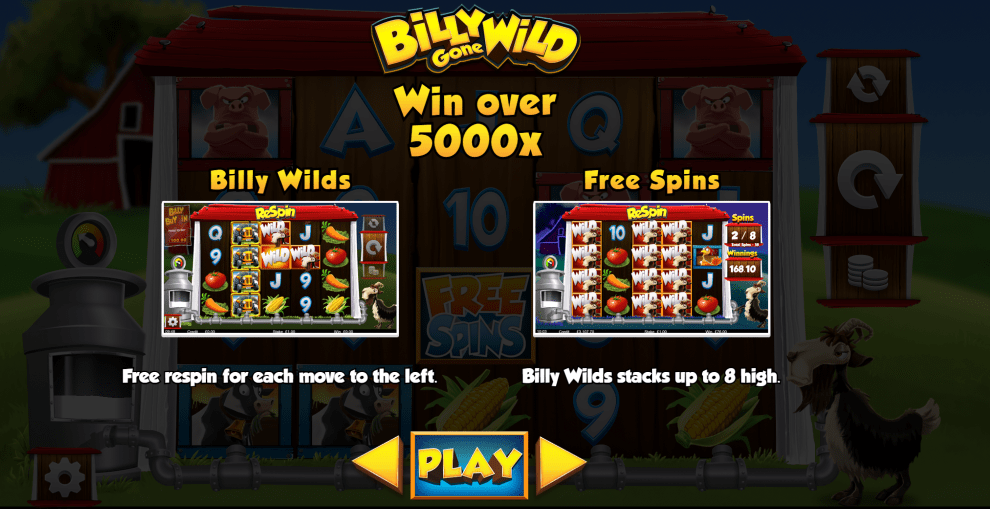 Billy Gone Wild Slot Features