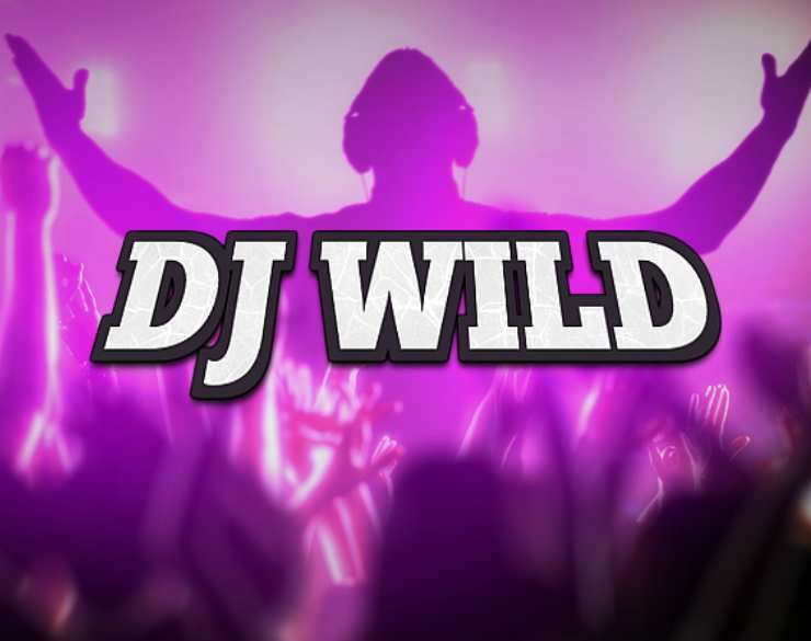 DJ Wild Logo