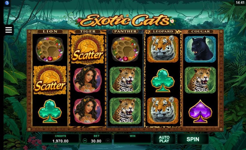 Exotic Cats Slots Online