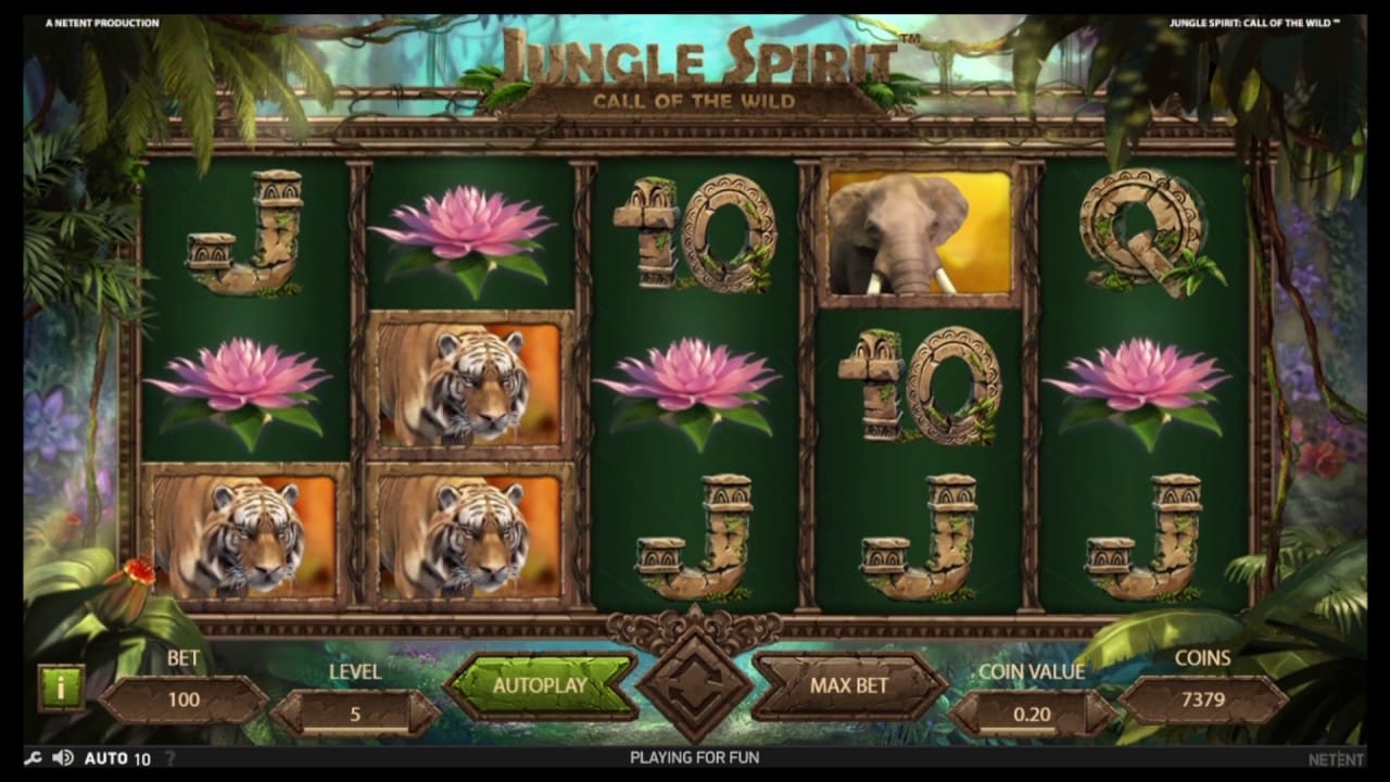 big win casino online