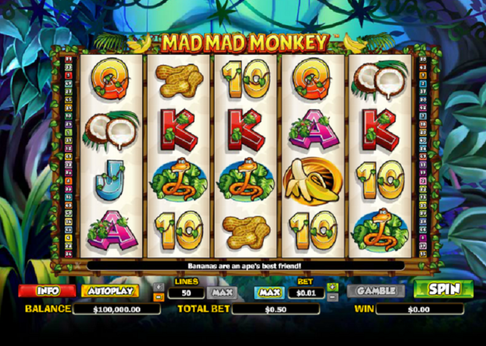 Mad Mad Monkey Slot Features Image