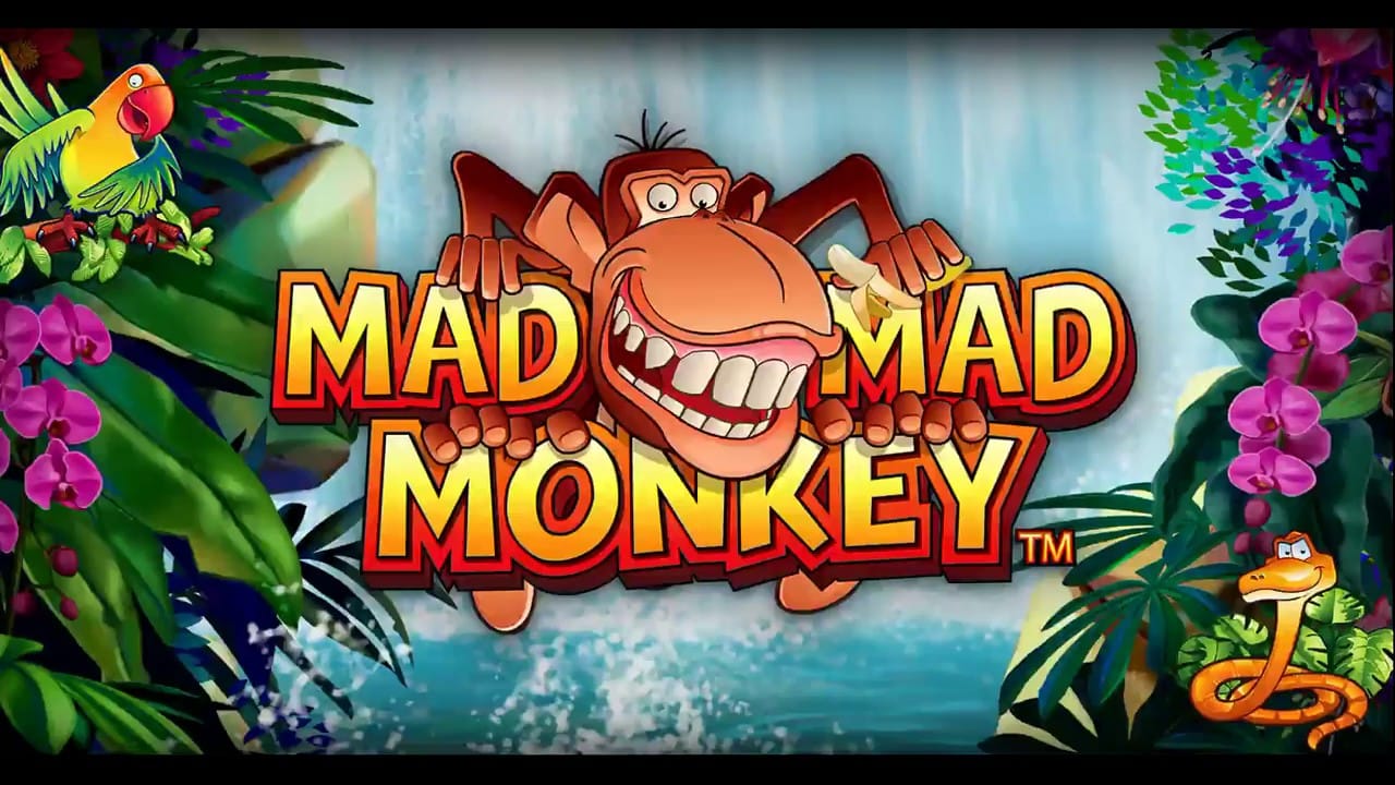 Mad Mad Monkey Slots Mega Reel