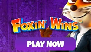 foxin wins