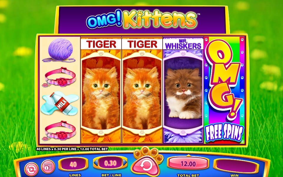 OMG! Kittens Slots UK